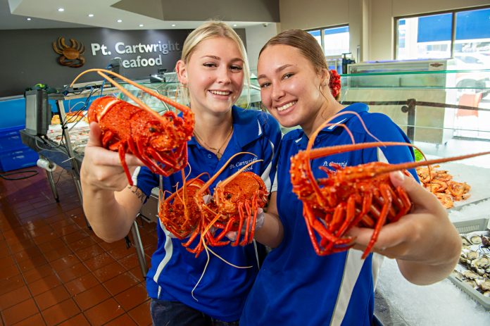 lobster for christmas sunshine coast news