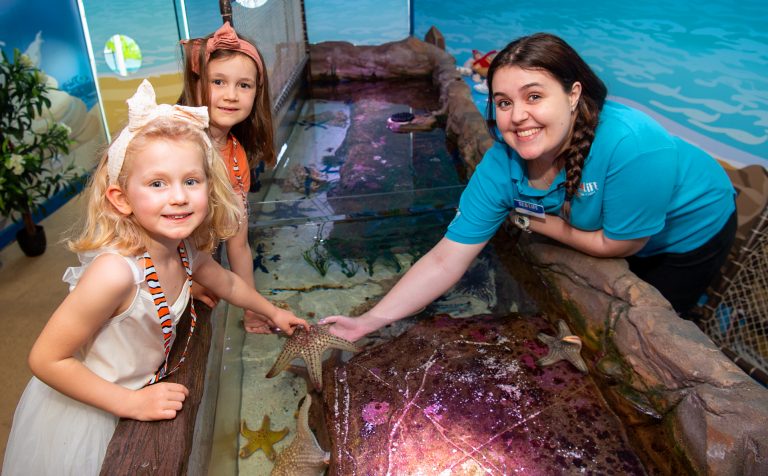 What’s new for the summer at SEA LIFE Mooloolaba