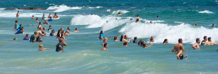 Sunshine-Coast-News-beach--696x237