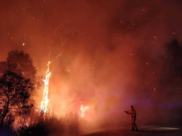 peregian springs bushfire