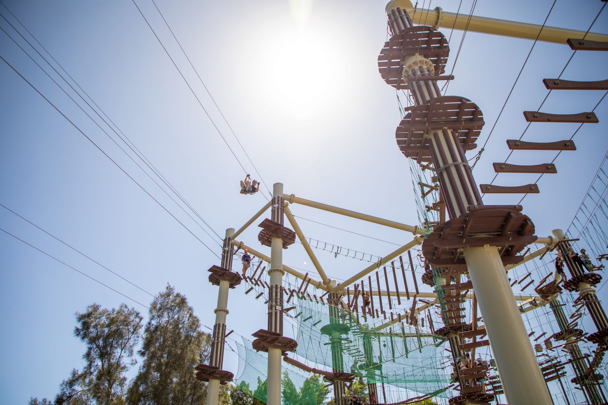 Five exciting things to do on Sunshine Coast in 2021
