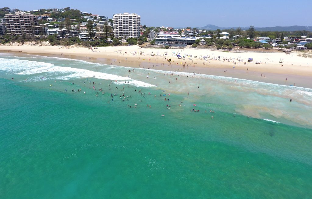 Sharkspotting drone trial's Sunshine Coast surprise