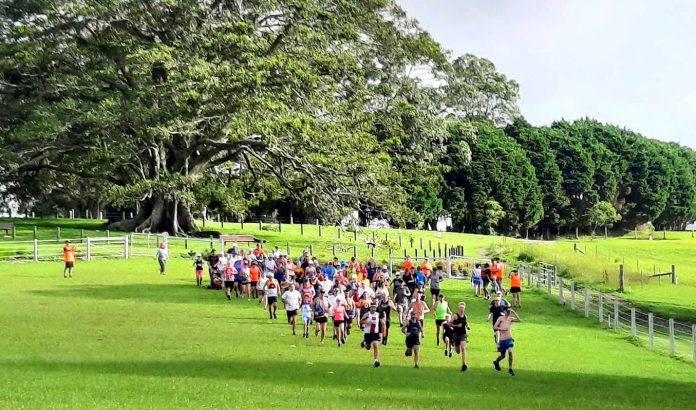 maleny trail parkrun launch sunshine coast news