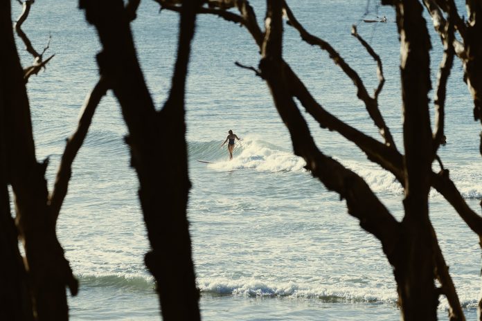 Sunshine-Coast-News-Tea-Tree-Surfer-Damian-Watts