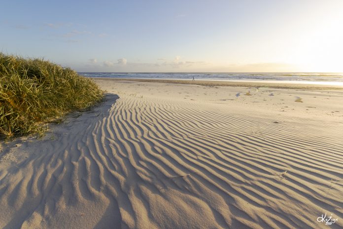 Sunshine-Coast-News-Coolum-Journeys-Kerry-Mulgrew