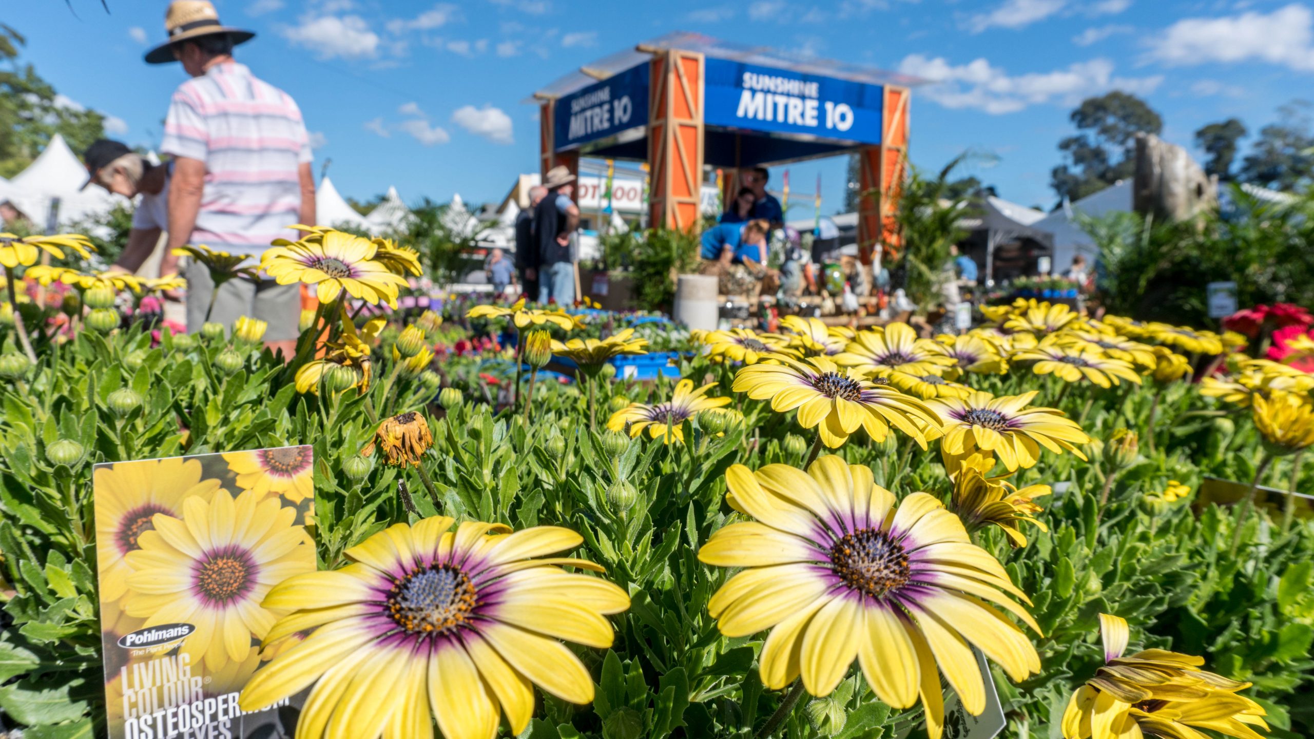 Gardening more popular than ever as Expo returns