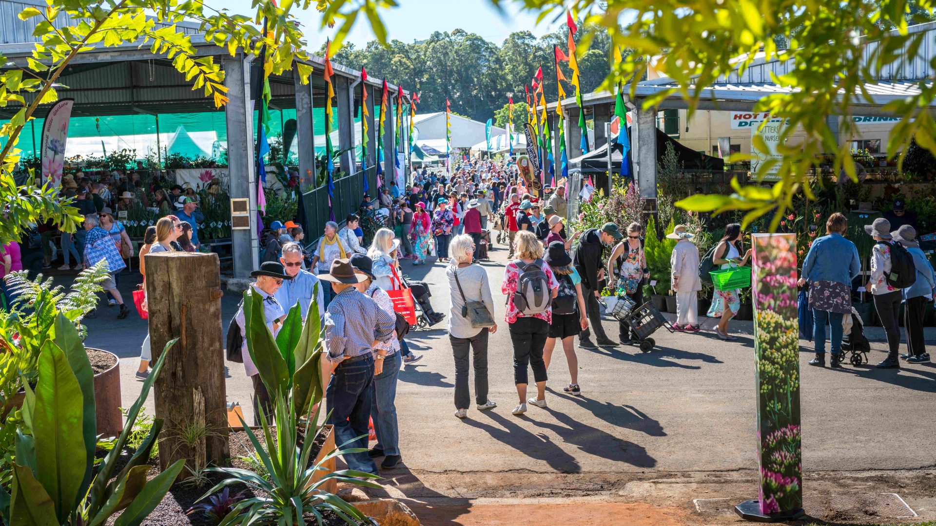 Gardening more popular than ever as Expo returns