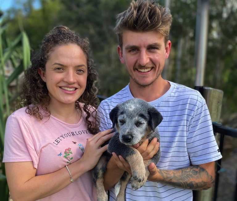 The Aussie favourite pet that never goes out of fashion