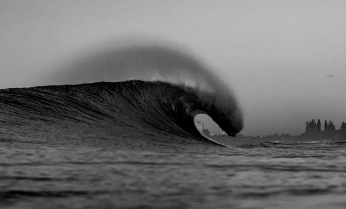 Sunshine-Coast-News-surf-David-Cook-BW