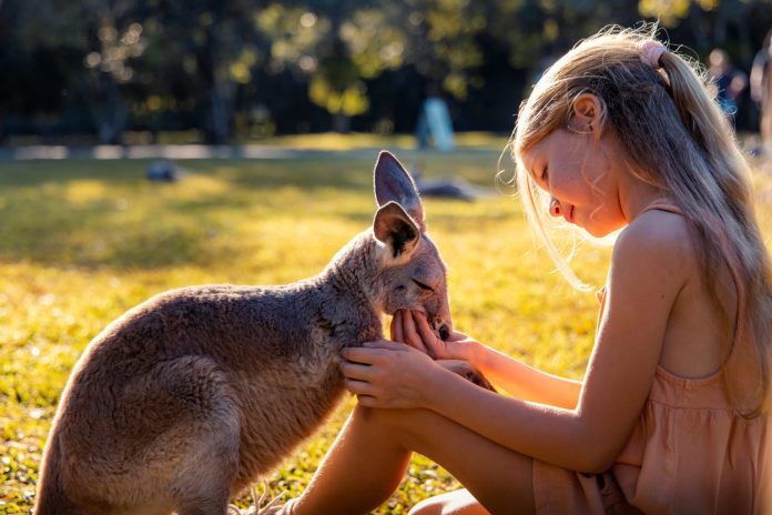 Sunshine-Coast-News-Australia-Zoo-VSC-credit