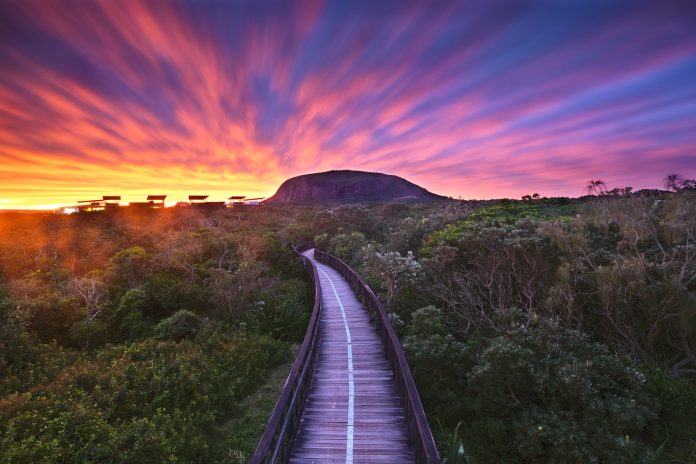Sunshine-Coast-News-Coolum-Boardwalk-Brett McIntosh