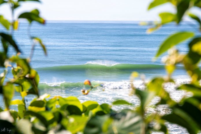 Sunshine-Coast-News-Coolum-Second-Bay-surf-Jodie-Price