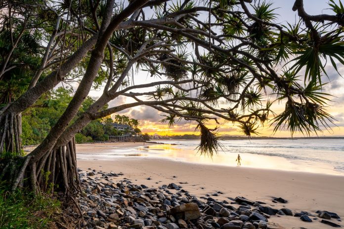 Sunshine-Coast-News-Little-Cove-Noosa-Damian-Watts