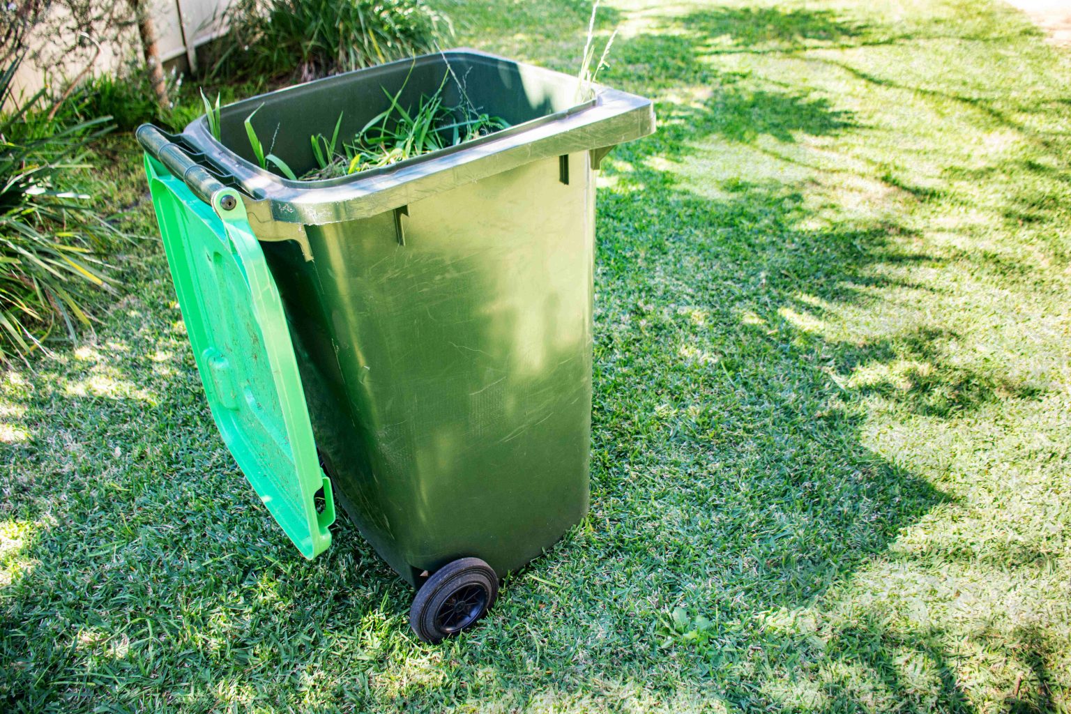 Sunshine Coast ratepayers face green bin overhaul