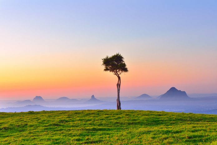 Sunshine-Coast-News-Glasshouse Mountains-Brett McIntosh