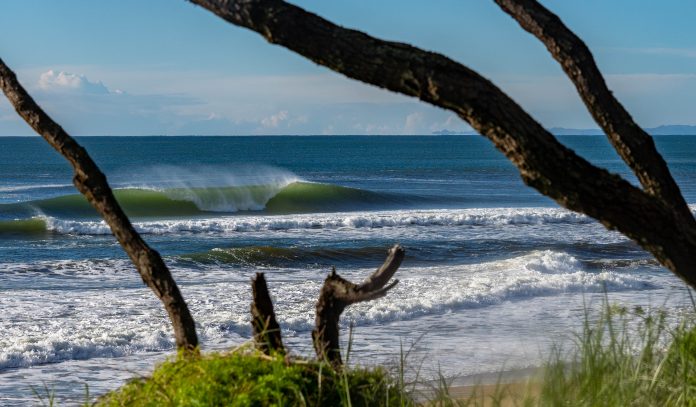 Sunshine-Coast-News-Wurtulla-surf-Dave-Cook