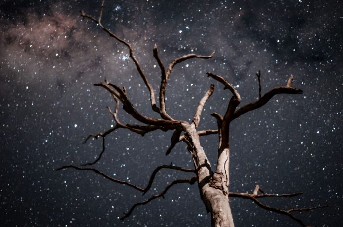 Sunshine-Coast-News-milky-way-Wes-Warner