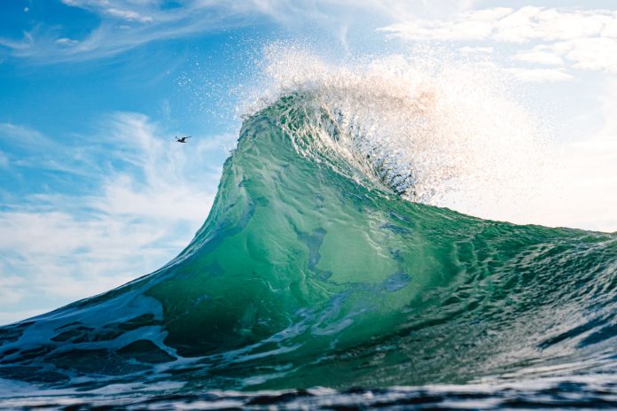 Sunshine-Coast-News-Dicky-Reef-Daygin-Prescott