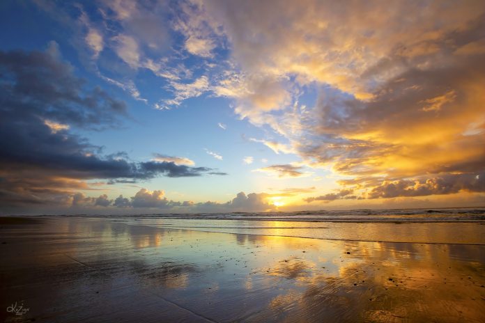 Sunshine-Coast-News-Tide-out-kerry-mulgrew
