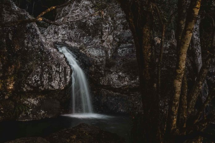 Sunshine-Coast-News-Waterfall-Daygin_Prescott