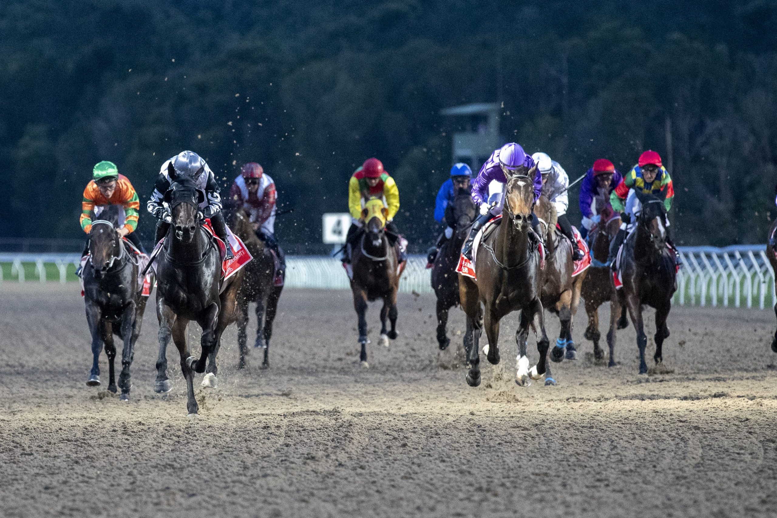 The 8.9m investment that keeps Sunshine Coast racing on track