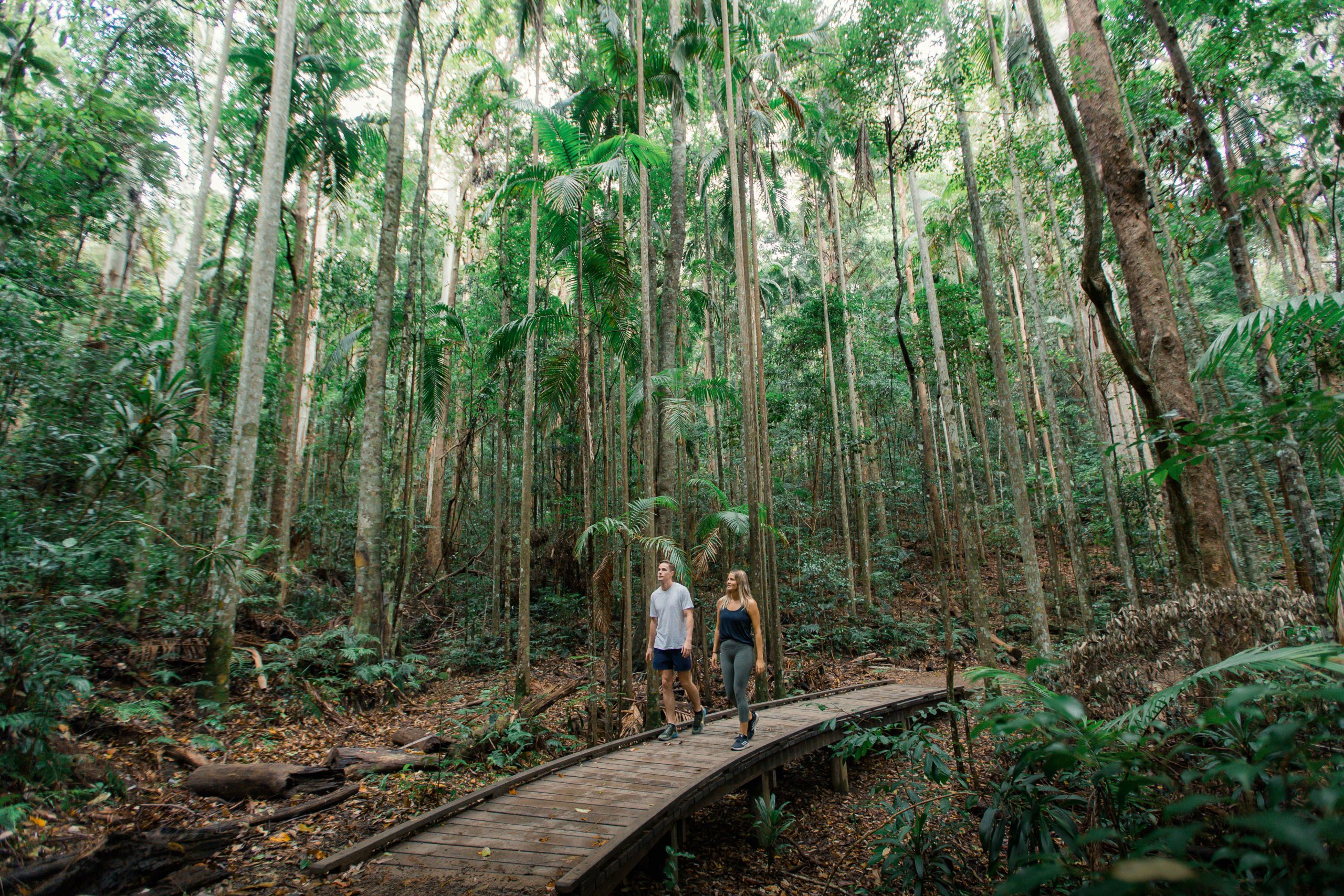 Take a hike your guide to exploring the region