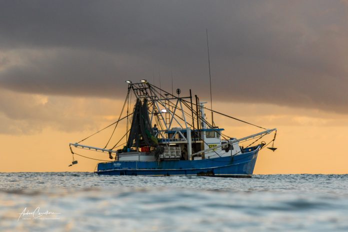 Sunshine-Coast-News-Mooloolaba-trawler-Andrew-C