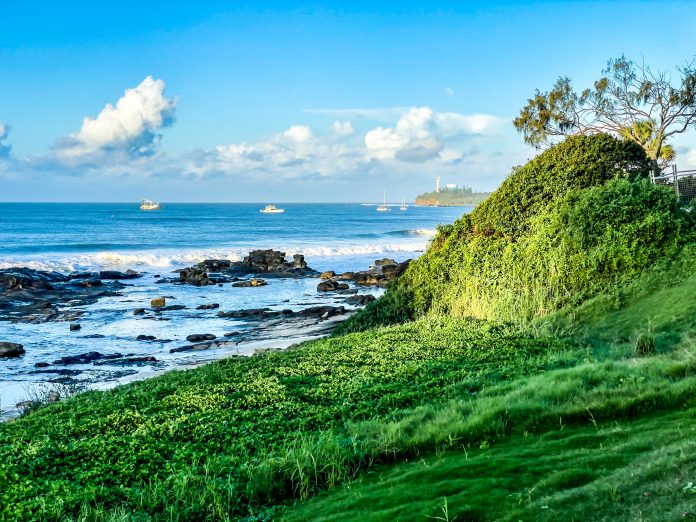 Sunshine-Coast-News-Blue-and-Green-Kelly-McKay