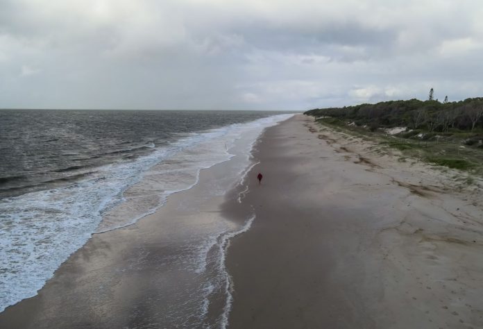 Sunshine-Coast-News-Bribie-Island-Ricardo