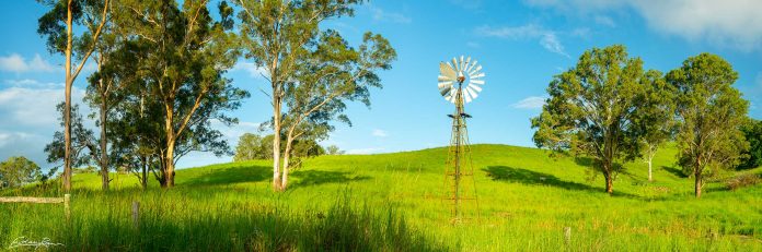 Sunshine-Coast-News-West-of-Woombye-Edan-Raw