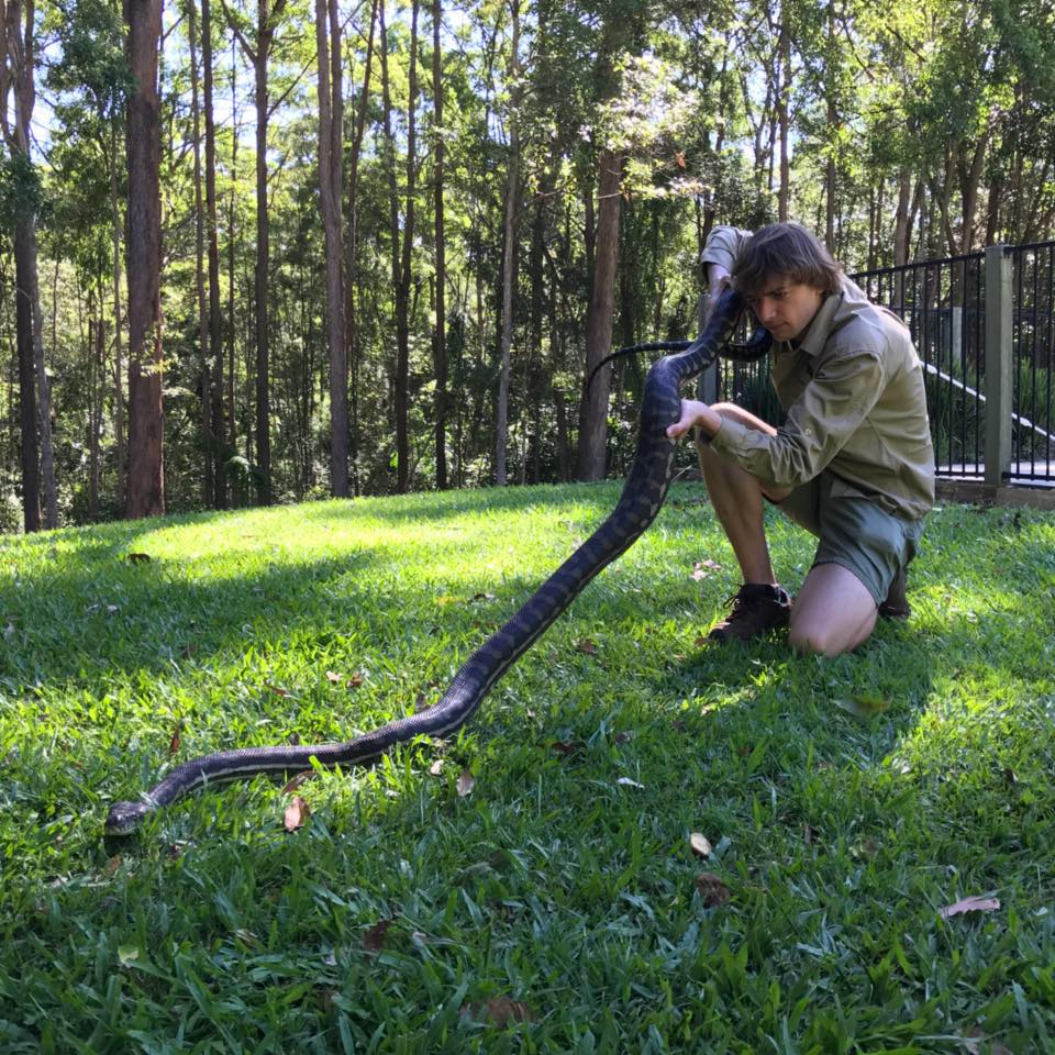 Three bags full snake catcher's discovery that will make your skin crawl
