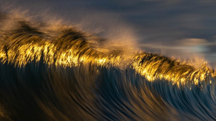 Sunshine-Coast-News-Kings-Wave-Arty-David-Cook 2