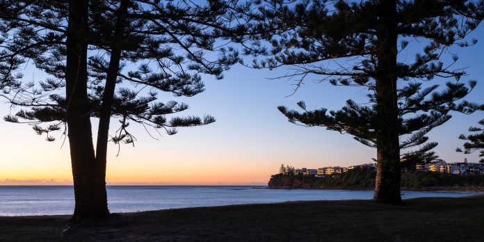 Sunshine-Coast-News-Moffat-Beach-Damian-Watts