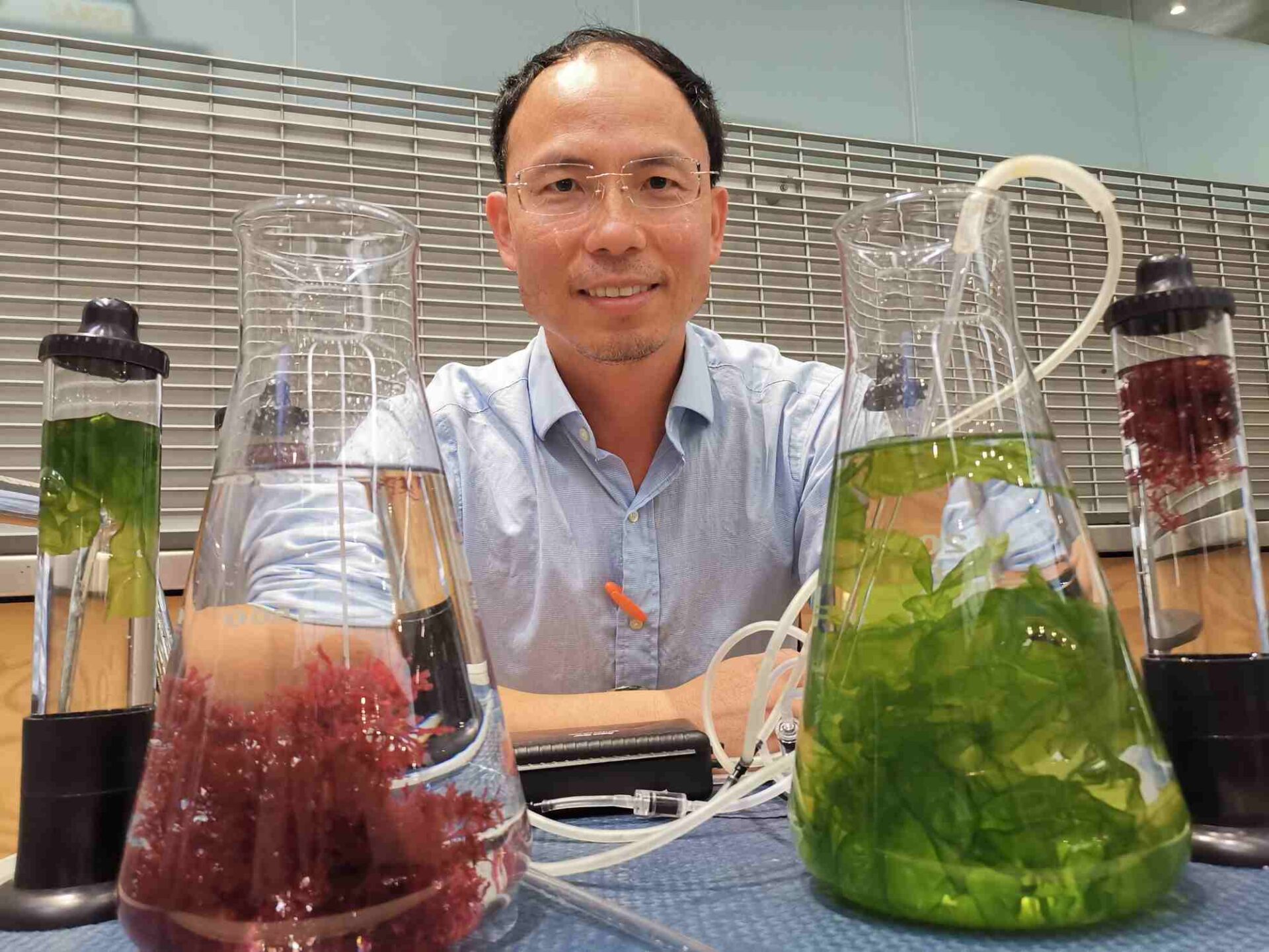 Unlocking seaweed's hidden secrets in fight against cancer