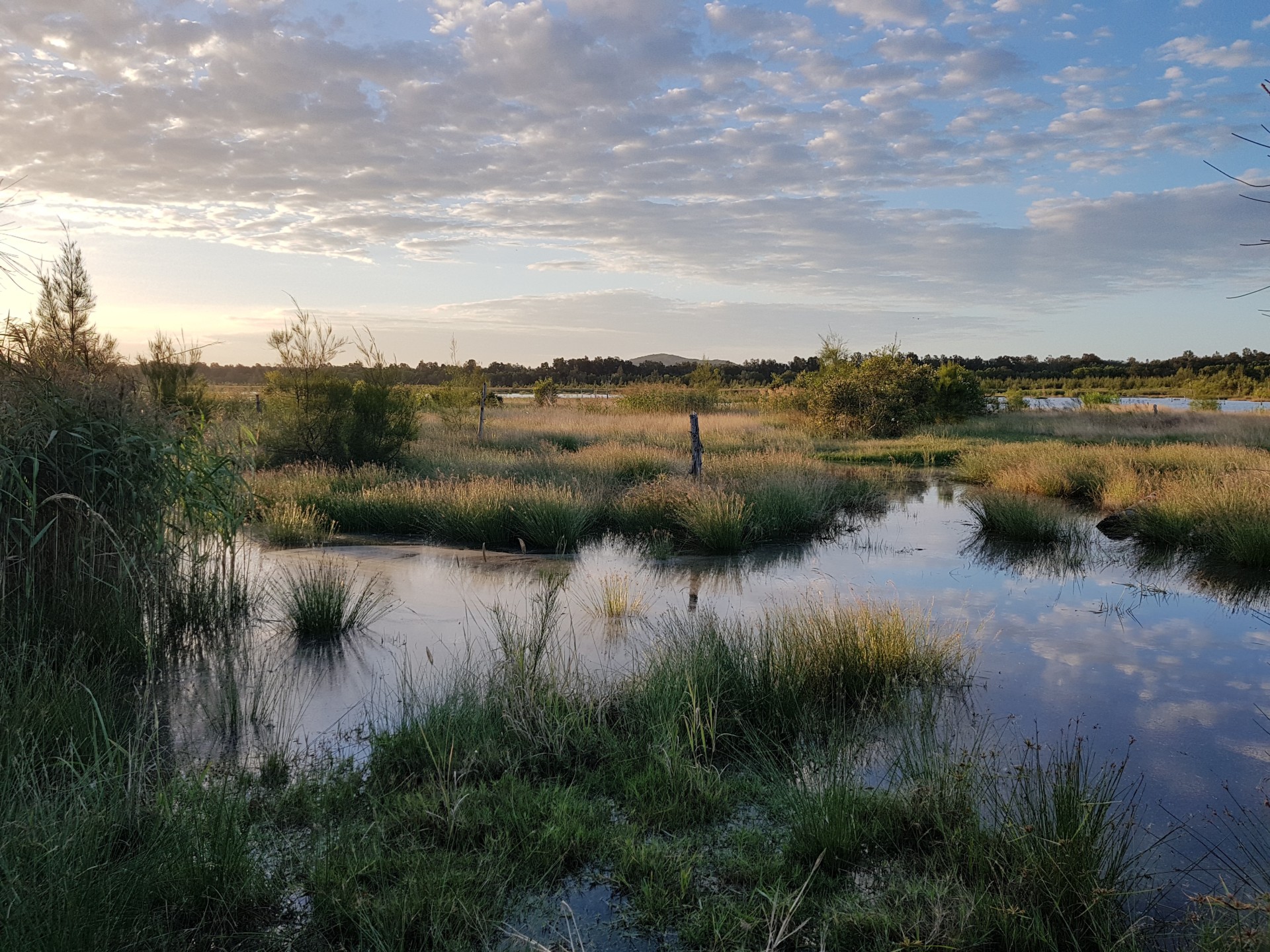 Zero hero: company’s waterways pledge