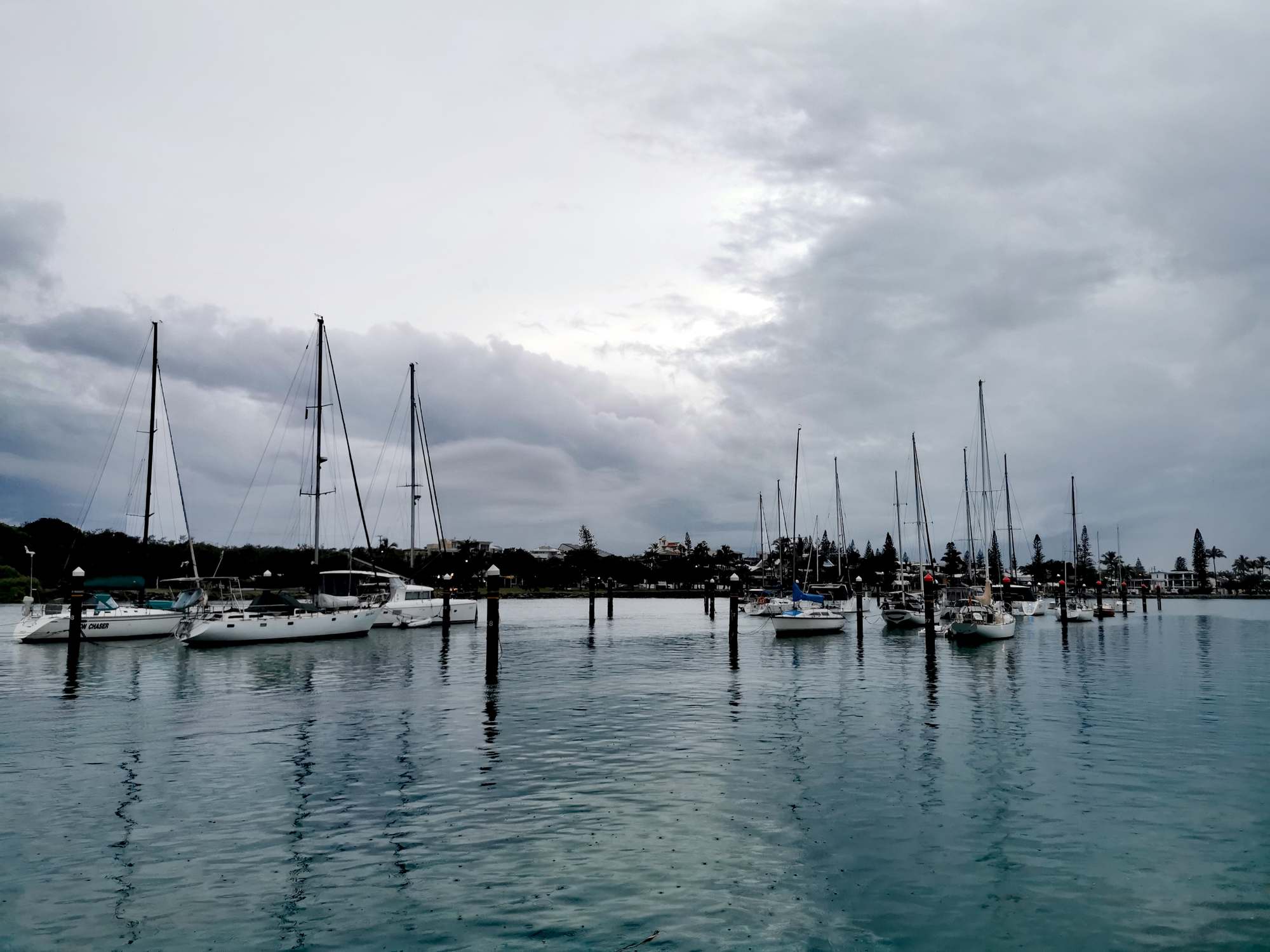 Photo of the day: Mooloolah River moment