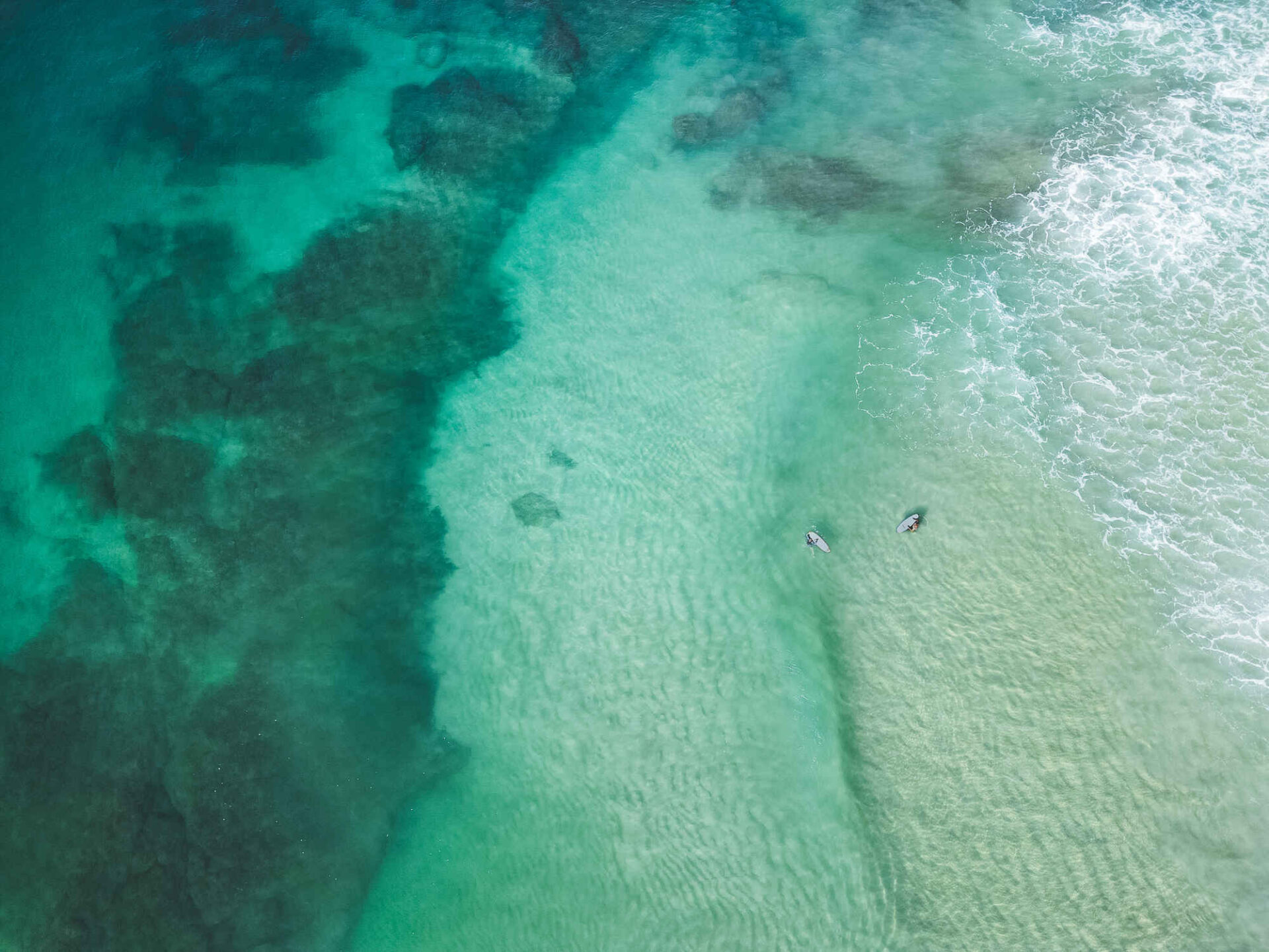 IN PHOTOS Great balls of bait fish close to beaches