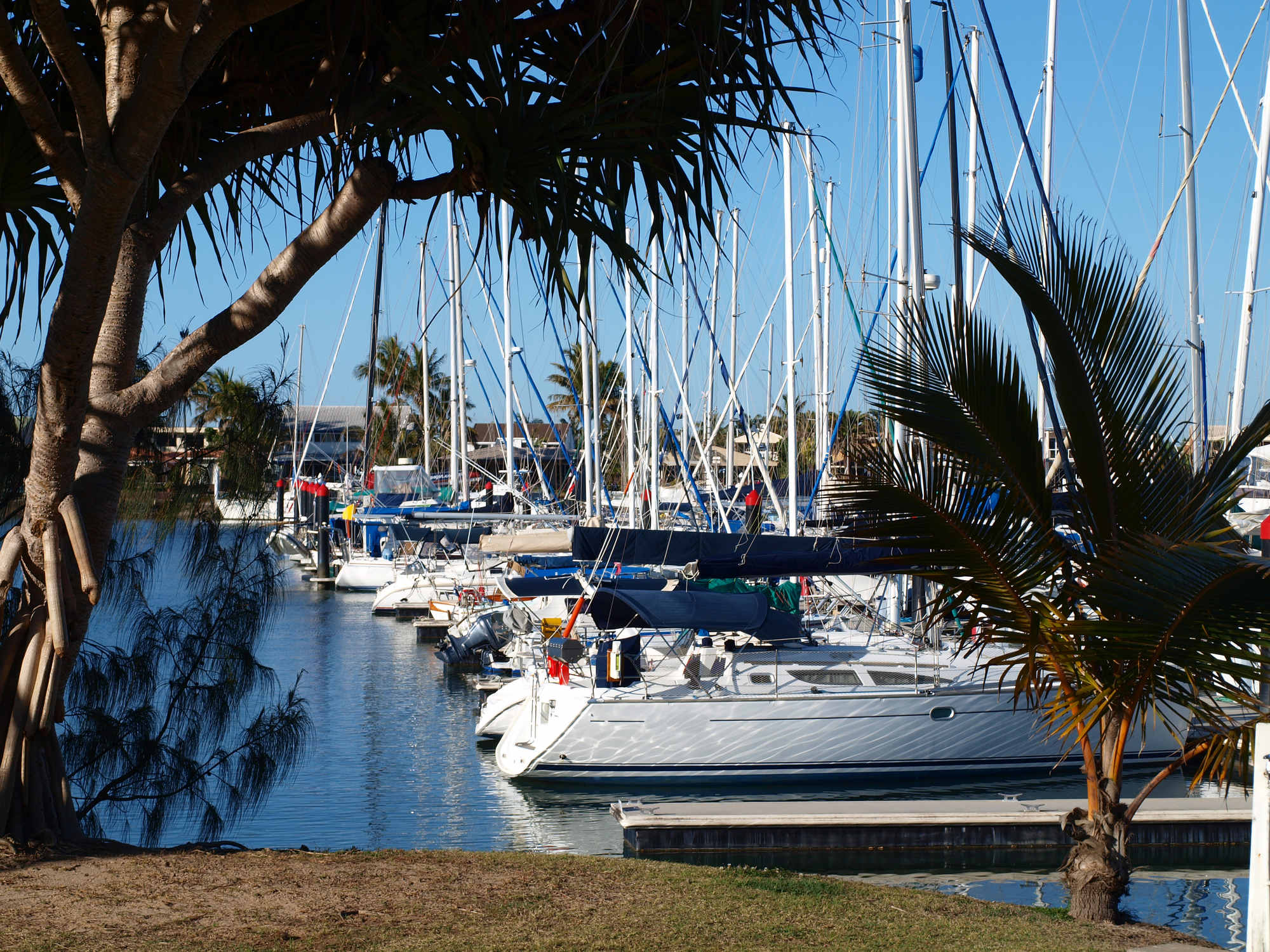 sunshine coast rc yacht club