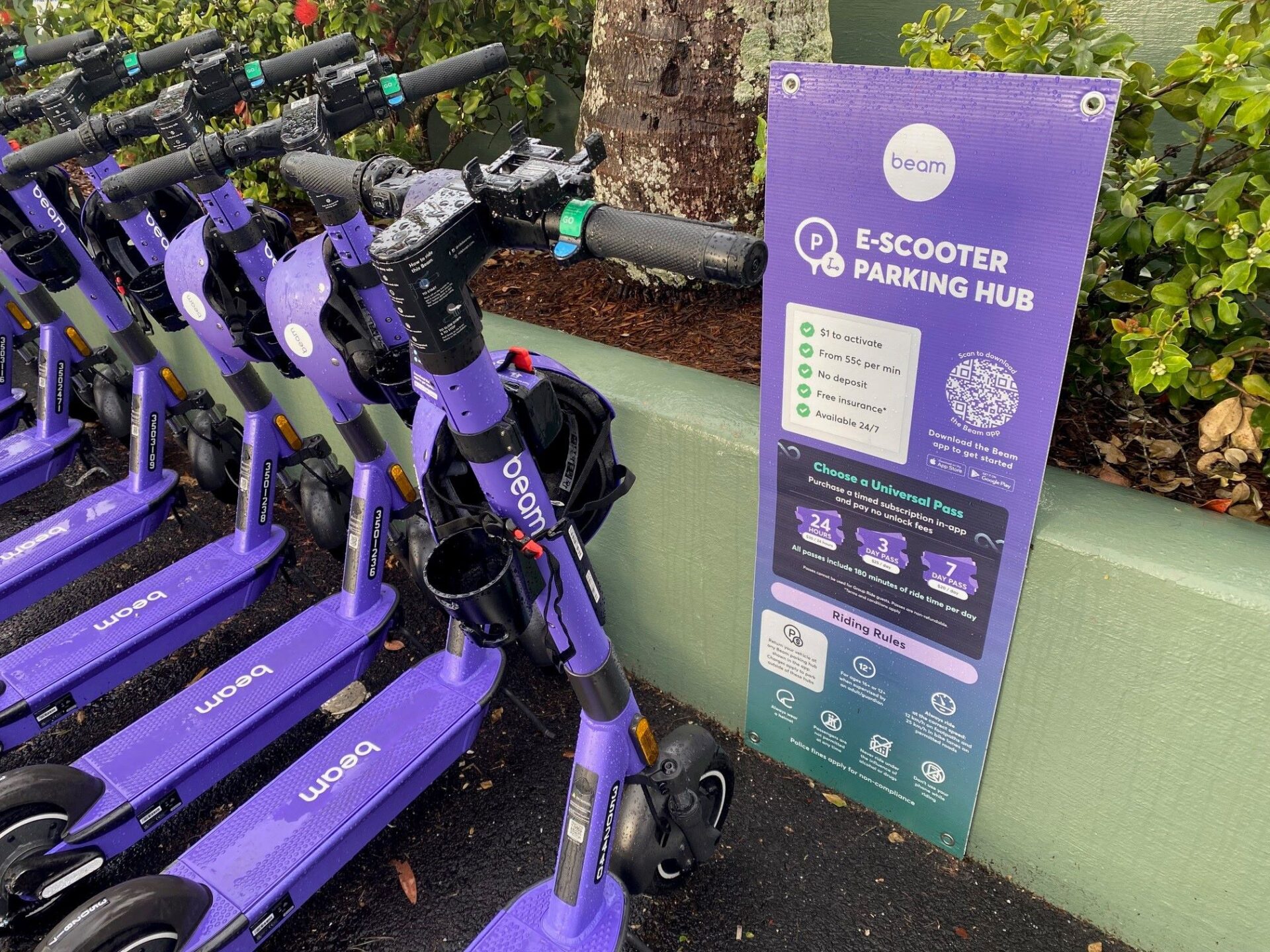 Why these purple scooters have started popping up