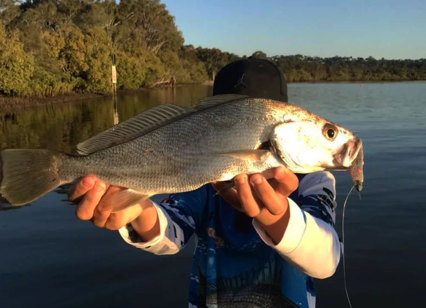 Fishing report: higher tides bring hope of good catches