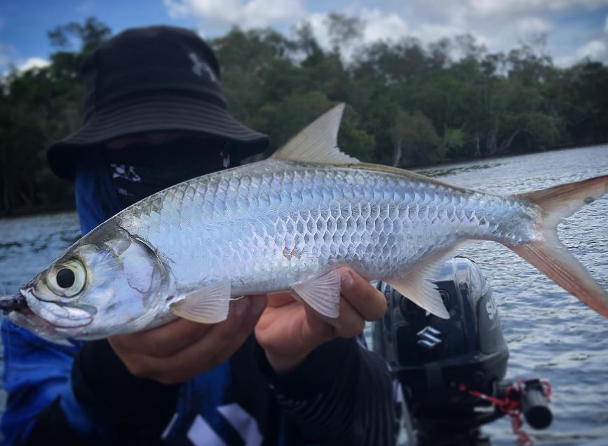 Fishing report: heavy rain wreaks havoc for anglers