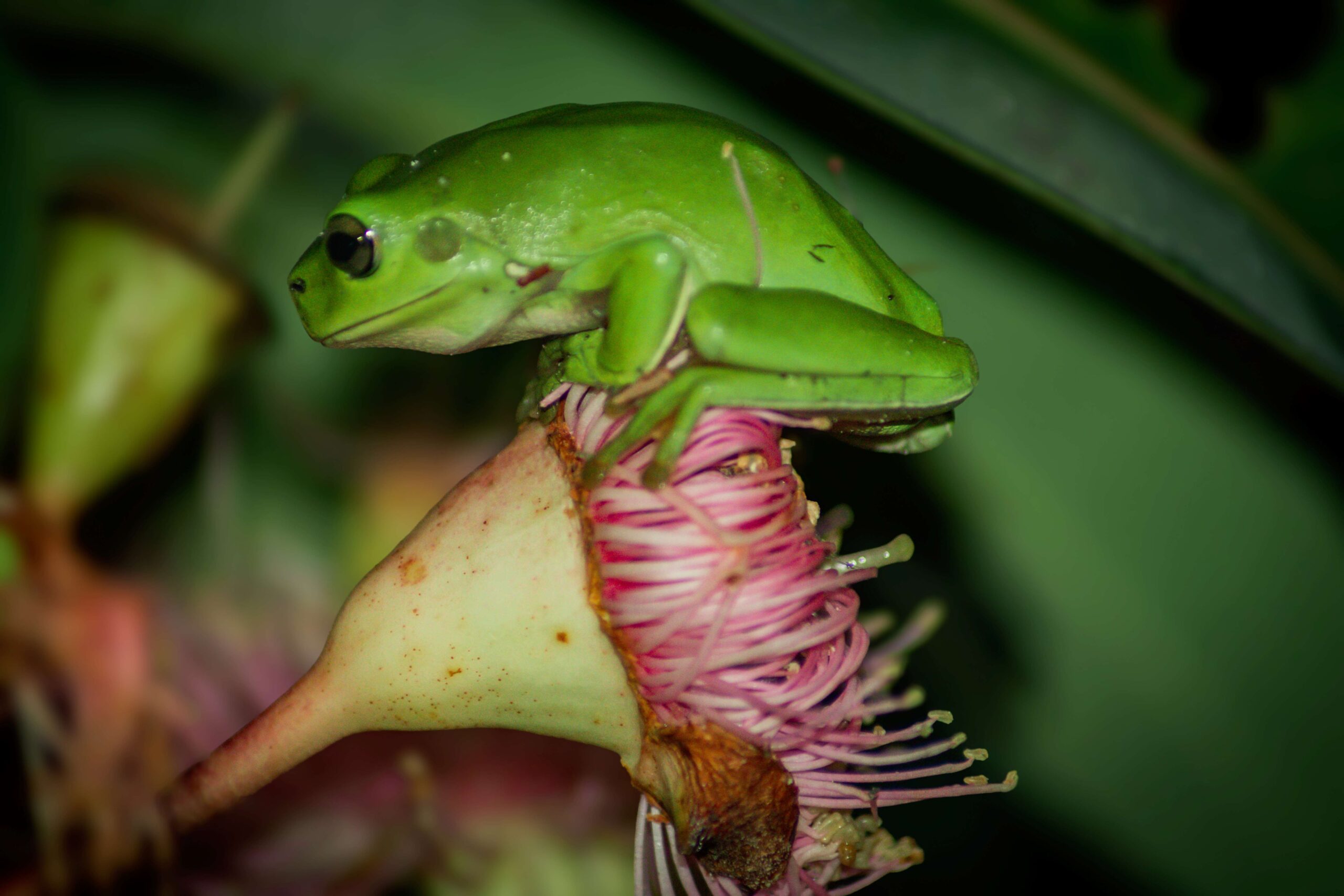 Photo of the day: dinner time