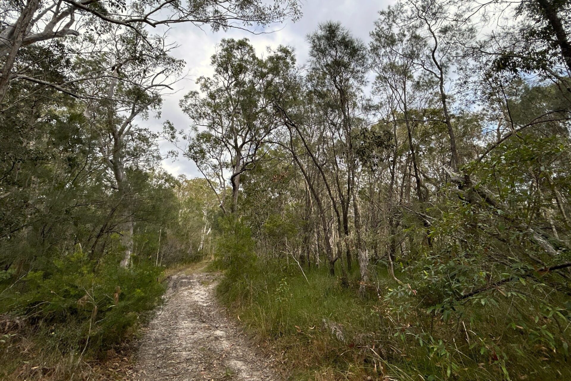 Large parcel of land acquired for conservation park