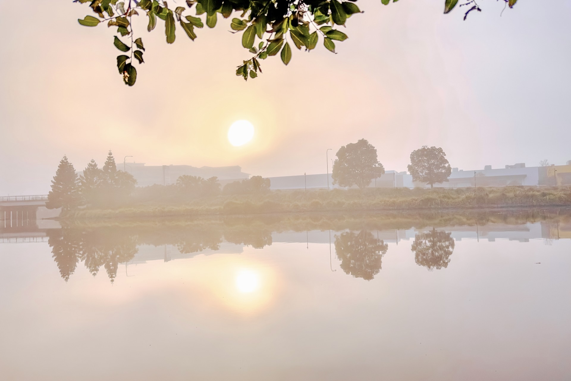 Photo of the day light through the fog