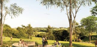 An impression of the Maleny District Park.