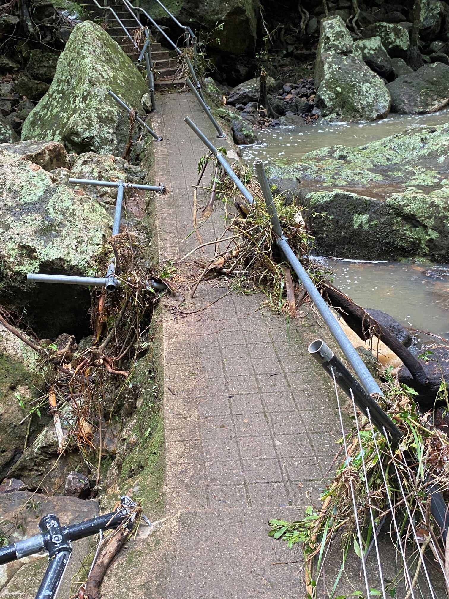 An image showing handrails pushed over by water on a footbridge at Kondalilla Falls.
