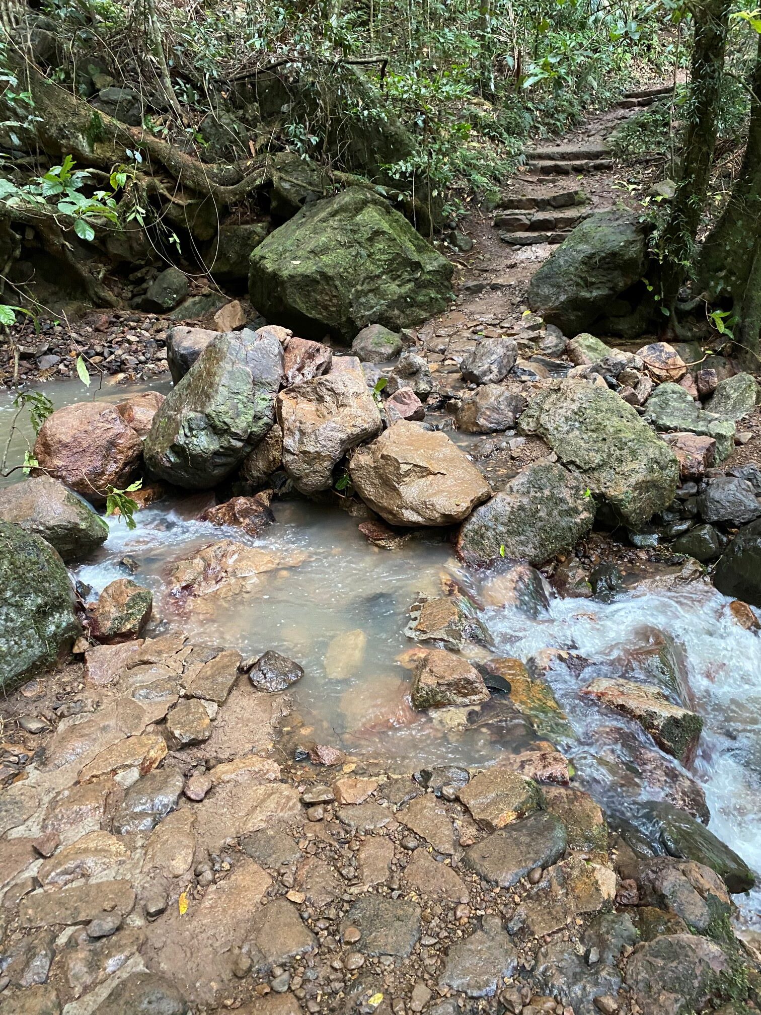 Damaged sections of the Kondalilla Falls walking track.