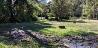 Large sections of Charlie Moreland campground have turned to mud.
