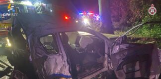 The vehicle was significantly damaged by a tree. Picture by LifeFlight.