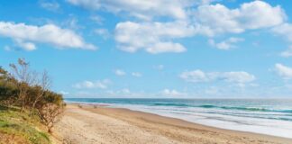 Peregian Beach. Picture: Shutterstock.